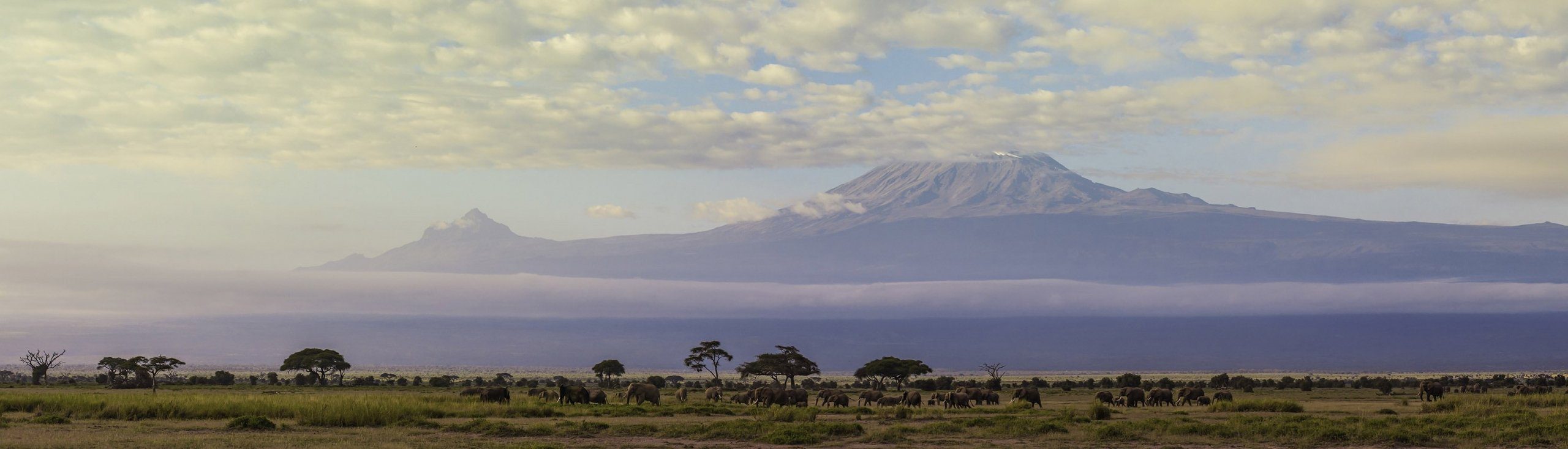 News Fly Paragliding Kilimanjaro scaled